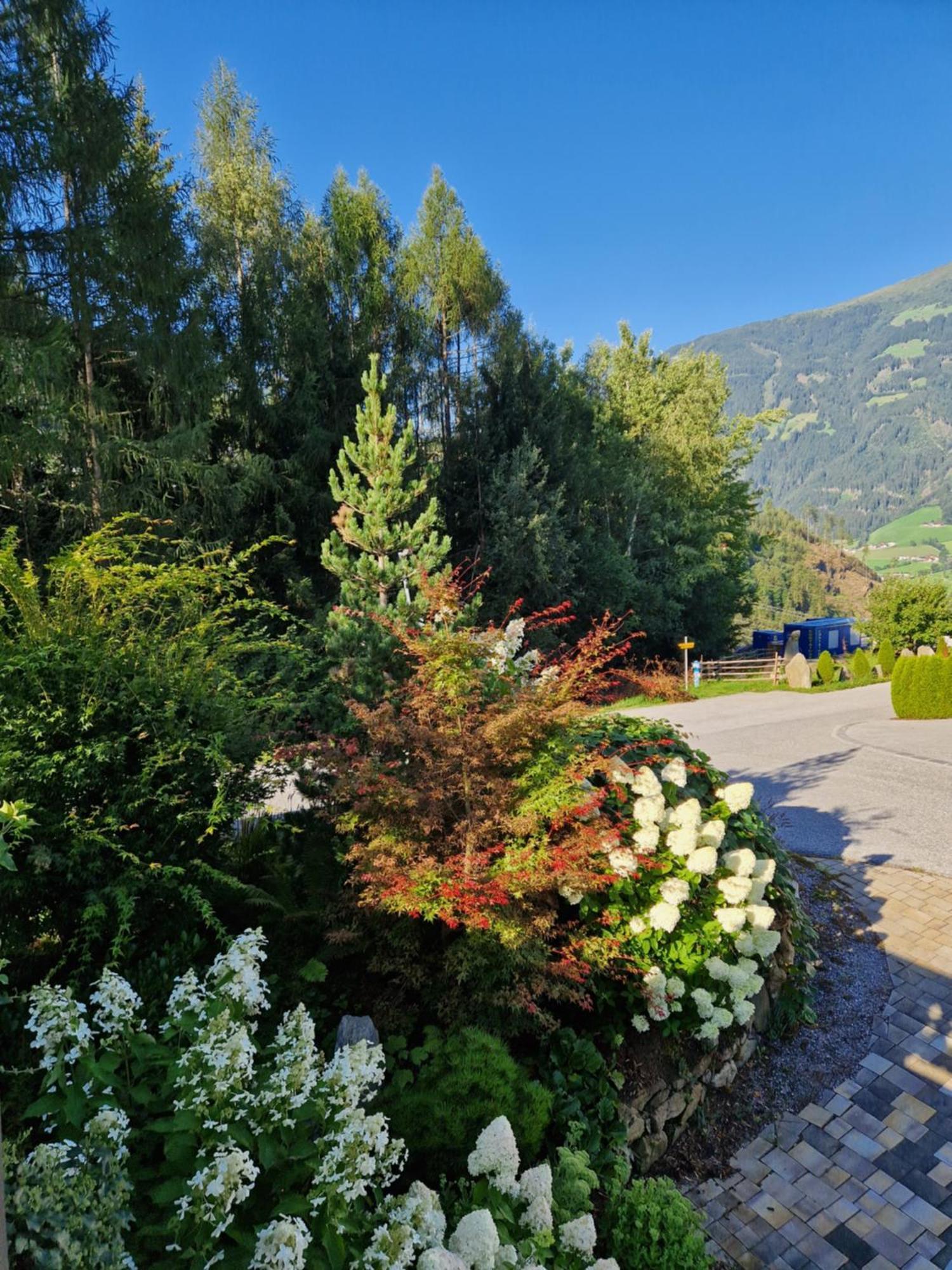 Haus Roland Lejlighed Zell am Ziller Eksteriør billede